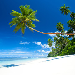 Tropical beach on Samoa