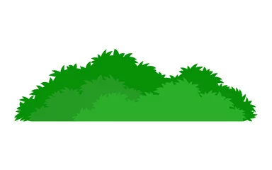 Foto op Aluminium green stylized bush icon © StockVector
