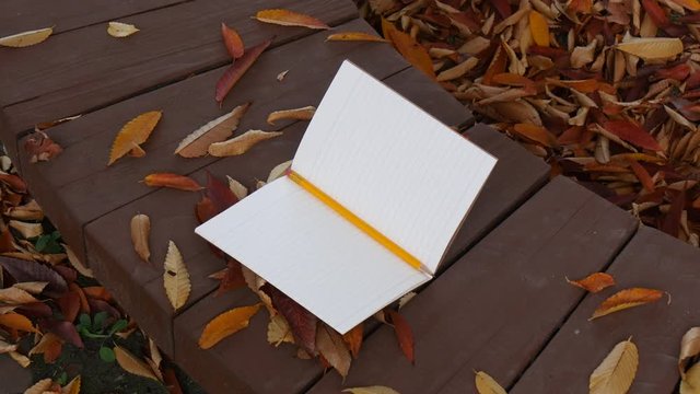 The note with pencil on the bench in autumn