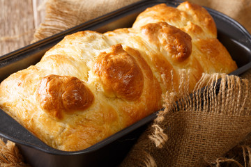 Freshly brioche bread in a baking dish close-up. horizontal