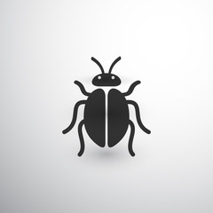 Black Crawling Bug