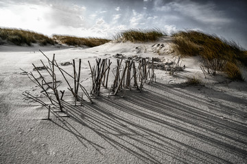 Sylt
