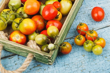 Set of ripe tomatoes in the wooden tray