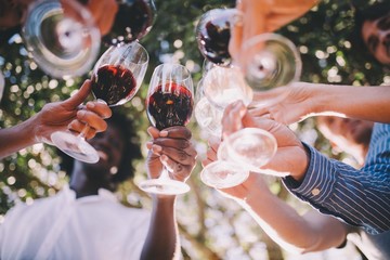 Group of friends toasting with wine glasses at party