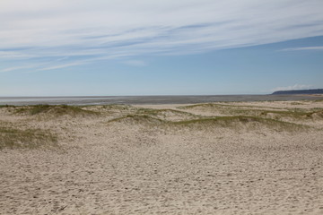 Douceur des dunes du Cotentin.