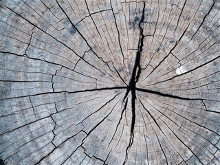 Fototapeta premium close up wooden texture background.