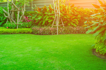 Sunlight in the morning shines on the green lawn, front lawn for the background, landscape garden design.