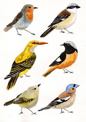 Рисунок акварелью "Перелетные птицы"