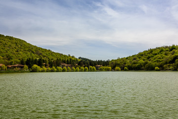 Rural lake landscape with wildlife, ducks and snow capped mountains in background with blue skies and clouds midst of fall foliage.  