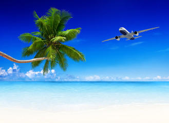 airplane and beach blue sky with palm tree.