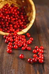 Cowberry, foxberry, cranberry, lingonberry sips from the basket on a brown wooden table.