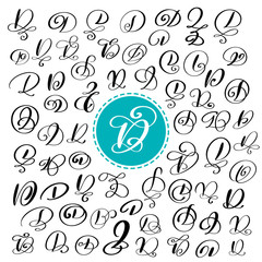 Set of Hand drawn vector calligraphy letter D. Script font. Isolated letters written with ink. Handwritten brush style. Hand lettering for logos packaging design poster. Typographic set on white