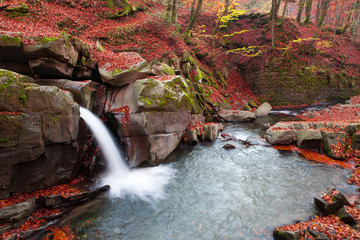 Waterfall in the autumn beech forest