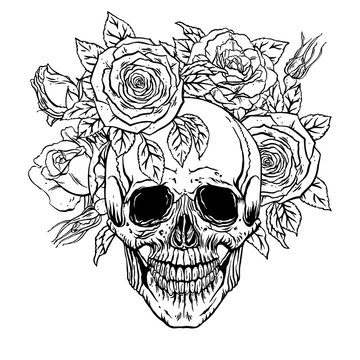 human skull with a roses wreath