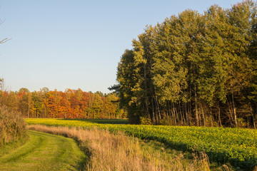 Fototapeta premium bavarian landscape in fall