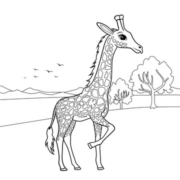 Landscape of Giraffe illustration for coloring book