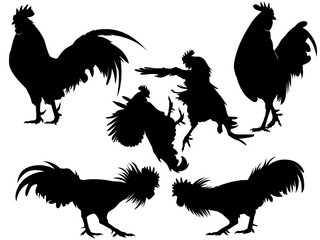 rooster chicken silhouette set © great19