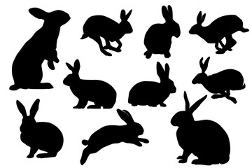 bunny silhouette sets