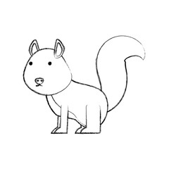cartoon squirrel icon over white background vector illustration