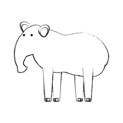 cartoon anteater icon over white background vector illustration