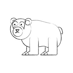 cartoon bear icon over white background vector illustration