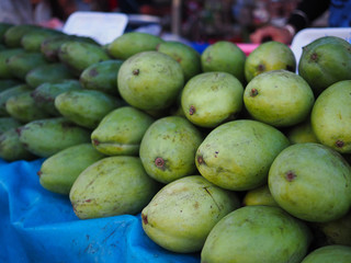 Fresh green mango fruits