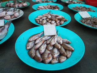 Fresh small fish in a dish for sale in the local market of Thailand