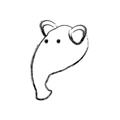 cartoon anteater icon over white background vector illustration