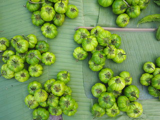 Fresh green eggplant for sale in the market.