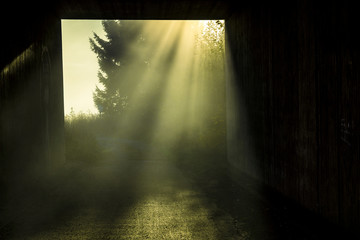 Unterf&uuml;hrung im Morgennebel mit Sonnenstrahlen