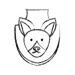 fox hunting trophy icon over white background vector illustration