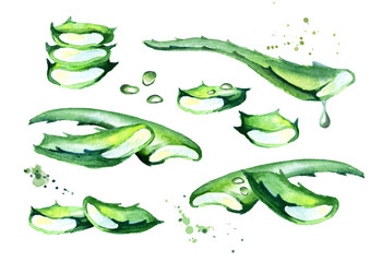 Organic aloe vera set. Watercolor hand drawn illustration