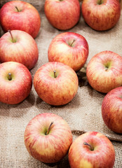 Fresh Aomori Fuji apple on sackcloth