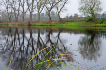 Autumn Landscape by River with Reflection of Trees
