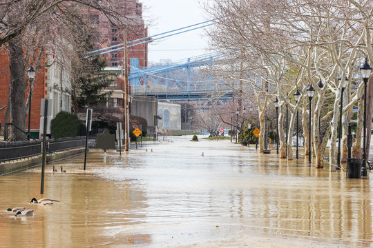 Flooded Street Near River