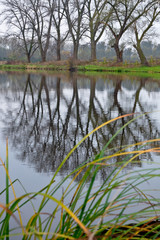 Autumn Landscape by River with Reflection of Trees