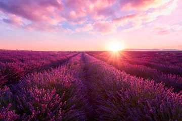 Lavendelfeld bei Sonnenuntergang in der Provence, erstaunliche sonnige Landschaft mit feurigem Himmel und Sonne, Frankreich © larauhryn