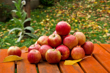 Red Apples on the Table in the Garden