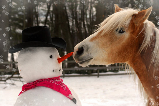 Horse Stealing Carrot From A Snowman 