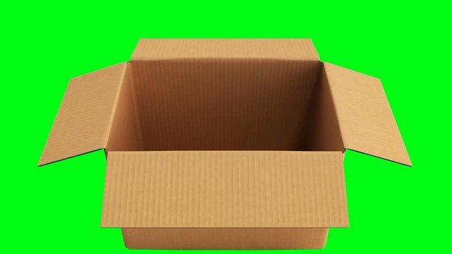 Open cardboard box on white background