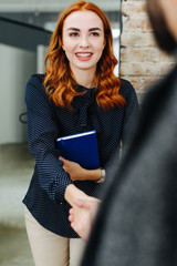 Ginger intern having a job interview