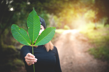 Ecology or Environment Concept - Woman Hand Holding Leaf with Blurred Bokeh Background with Copy Space for Put Your Text