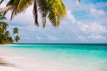 Obraz na płótnie Canvas tropical sand beach with palm trees