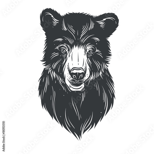 "Bear head" Stock image and royalty-free vector files on Fotolia.com