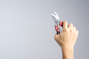 Hand holding pruning shears or secateurs for cutting tree branch