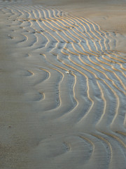 Sandy background sea coast. 