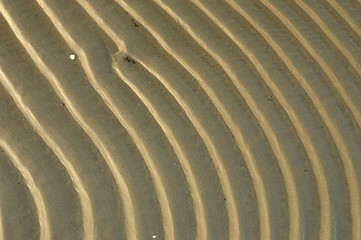 Sandy background sea coast. 