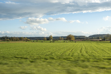 Rural view and mountain in Switzerland