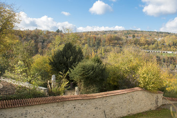 Autumn Leaves Background