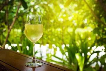 Photo sur Plexiglas Vin Glass with cold white wine
